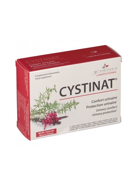 Cermep Pre-stage Development Environment