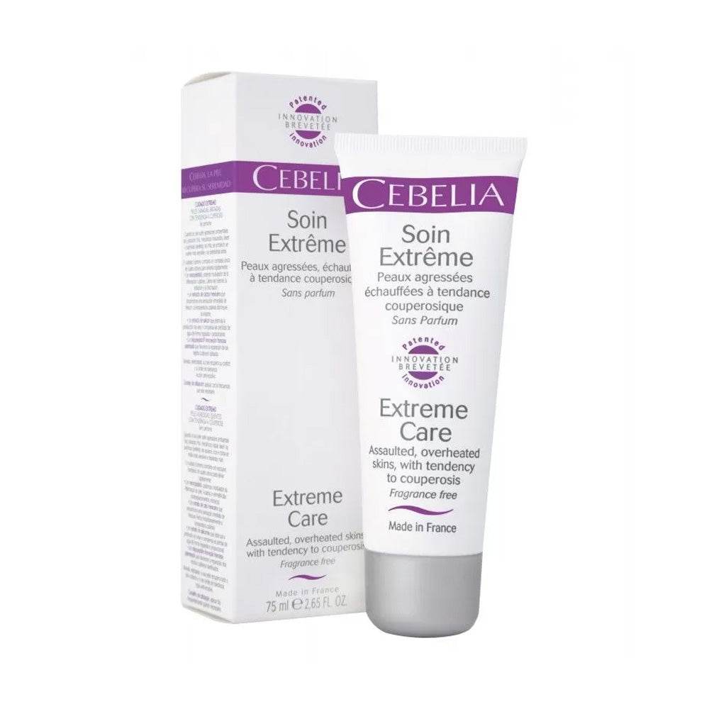 Cermep Pre-stage Development Environment