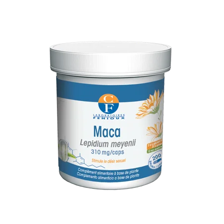 Cermep Pre-stage Development Environment