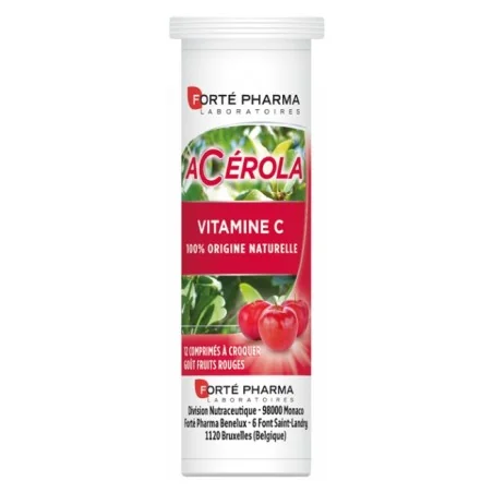 Cermep Pre-stage Development Environment