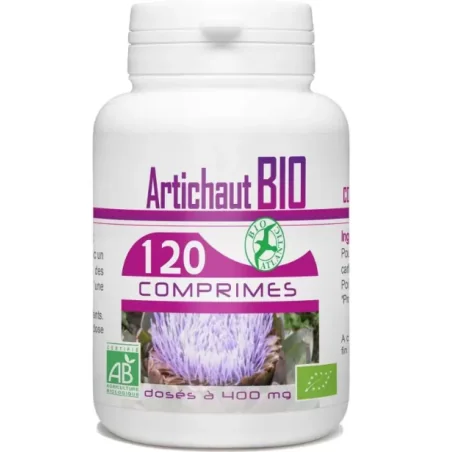 Cermep Pre-stage Development Environment