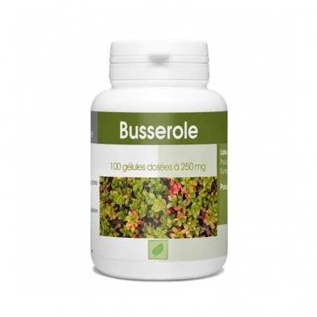 GPH DIFFUSION BUSSEROLE – 250 MG – 100 GÉLULES