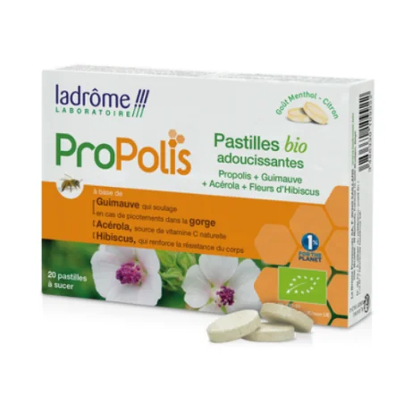 Cermep Pre-stage Development Environment