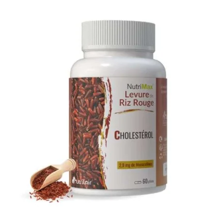 Cermep Pre-stage Development Environment