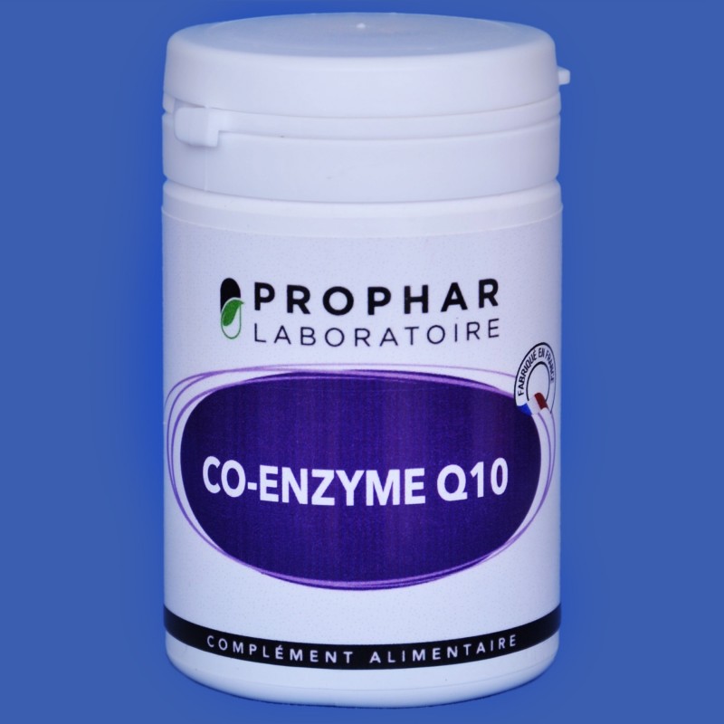 Cermep Pre-stage Development Environment