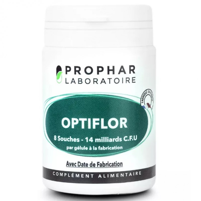 Cermep Pre-stage Development Environment