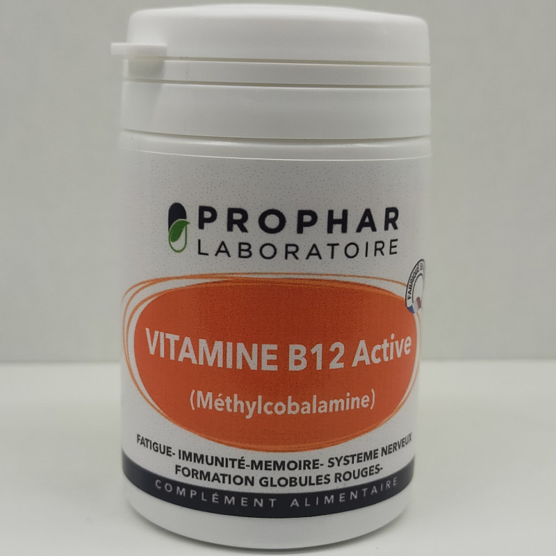 Cermep Pre-stage Development Environment